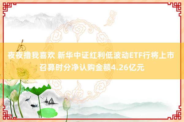 夜夜撸我喜欢 新华中证红利低波动ETF行将上市 召募时分净认购金额4.26亿元