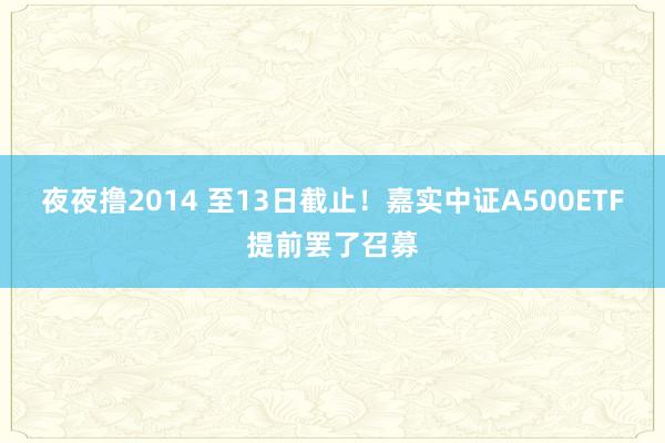 夜夜撸2014 至13日截止！嘉实中证A500ETF提前罢了召募