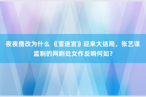 夜夜撸改为什么 《雪迷宫》迎来大结局，张艺谋监制的网剧处女作反响何如？