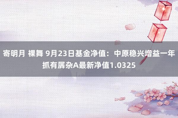 寄明月 裸舞 9月23日基金净值：中原稳兴增益一年抓有羼杂A最新净值1.0325