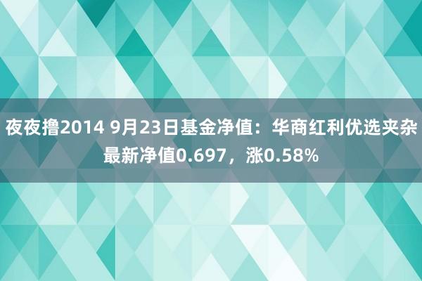 夜夜撸2014 9月23日基金净值：华商红利优选夹杂最新净值0.697，涨0.58%