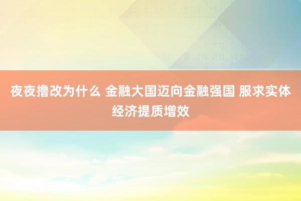 夜夜撸改为什么 金融大国迈向金融强国 服求实体经济提质增效