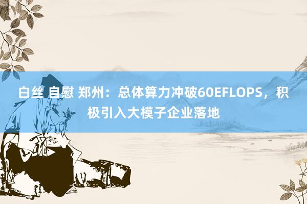 白丝 自慰 郑州：总体算力冲破60EFLOPS，积极引入大模子企业落地