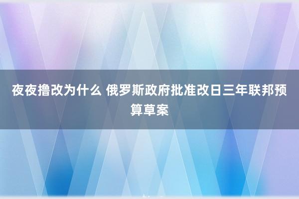 夜夜撸改为什么 俄罗斯政府批准改日三年联邦预算草案