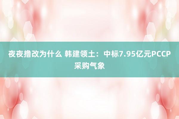 夜夜撸改为什么 韩建领土：中标7.95亿元PCCP采购气象