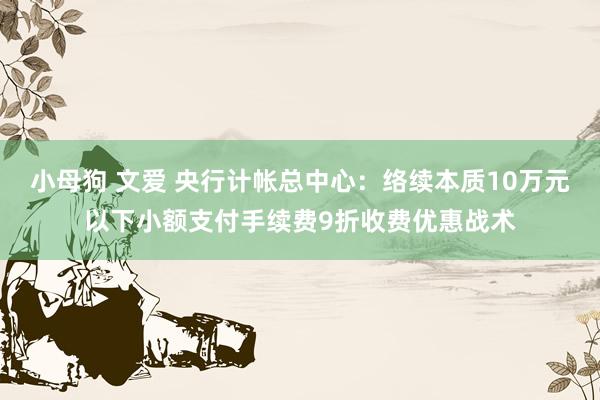 小母狗 文爱 央行计帐总中心：络续本质10万元以下小额支付手续费9折收费优惠战术