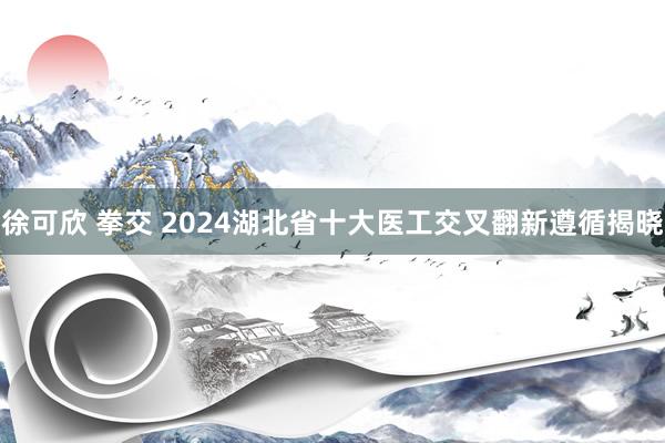 徐可欣 拳交 2024湖北省十大医工交叉翻新遵循揭晓