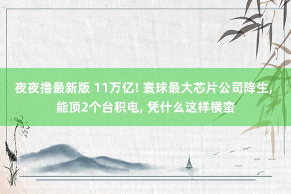 夜夜撸最新版 11万亿! 寰球最大芯片公司降生， 能顶2个台积电， 凭什么这样横蛮