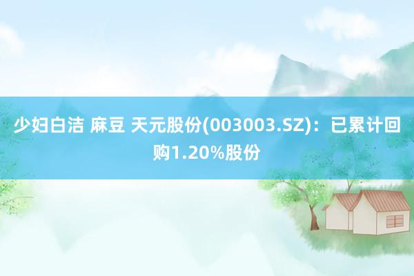 少妇白洁 麻豆 天元股份(003003.SZ)：已累计回购1.20%股份