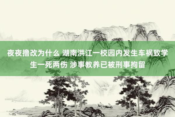 夜夜撸改为什么 湖南洪江一校园内发生车祸致学生一死两伤 涉事教养已被刑事拘留