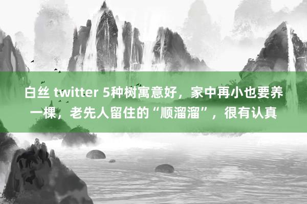 白丝 twitter 5种树寓意好，家中再小也要养一棵，老先人留住的“顺溜溜”，很有认真