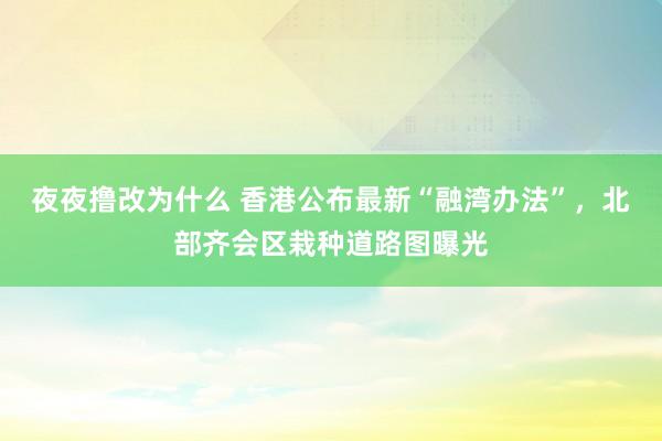 夜夜撸改为什么 香港公布最新“融湾办法”，北部齐会区栽种道路图曝光