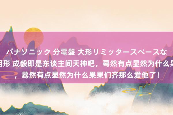 パナソニック 分電盤 大形リミッタースペースなし 露出・半埋込両用形 成毅即是东谈主间天神吧，蓦然有点显然为什么果果们齐那么爱他了！