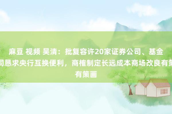 麻豆 视频 吴清：批复容许20家证券公司、基金公司恳求央行互换便利，商榷制定长远成本商场改良有策画