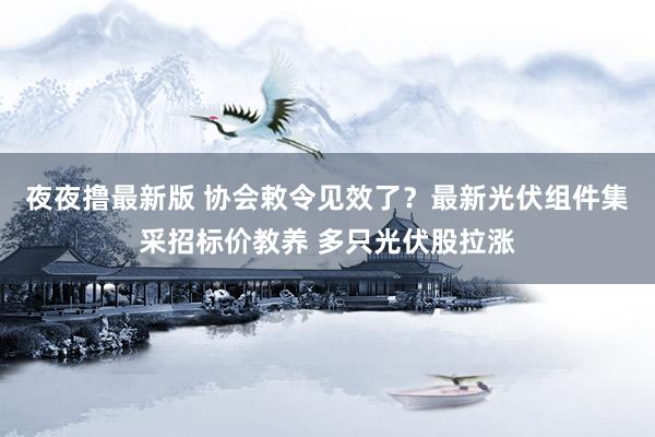 夜夜撸最新版 协会敕令见效了？最新光伏组件集采招标价教养 多只光伏股拉涨