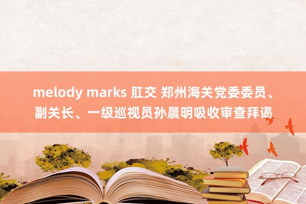 melody marks 肛交 郑州海关党委委员、副关长、一级巡视员孙晨明吸收审查拜谒