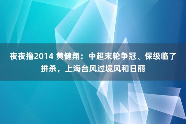 夜夜撸2014 黄健翔：中超末轮争冠、保级临了拼杀，上海台风过境风和日丽