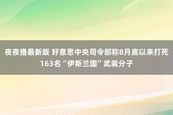 夜夜撸最新版 好意思中央司令部称8月底以来打死163名“伊斯兰国”武装分子