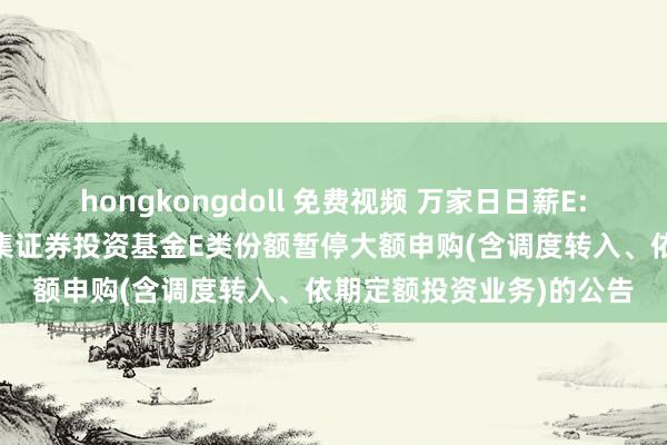 hongkongdoll 免费视频 万家日日薪E: 对于万家日日薪货币市集证券投资基金E类份额暂停大额申购(含调度转入、依期定额投资业务)的公告