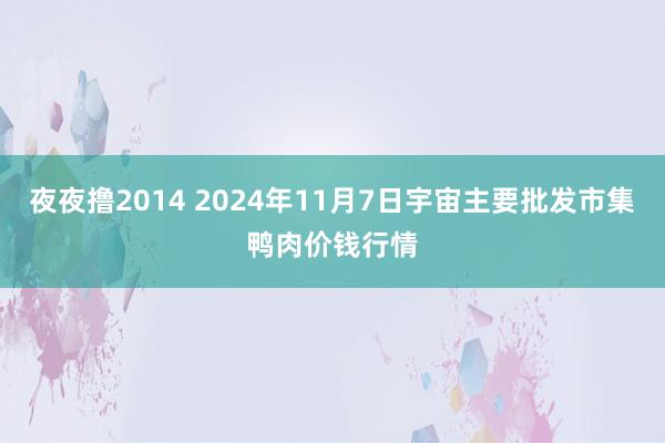 夜夜撸2014 2024年11月7日宇宙主要批发市集鸭肉价钱行情