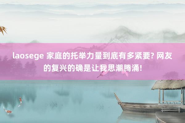 laosege 家庭的托举力量到底有多紧要? 网友的复兴的确是让我思潮腾涌!