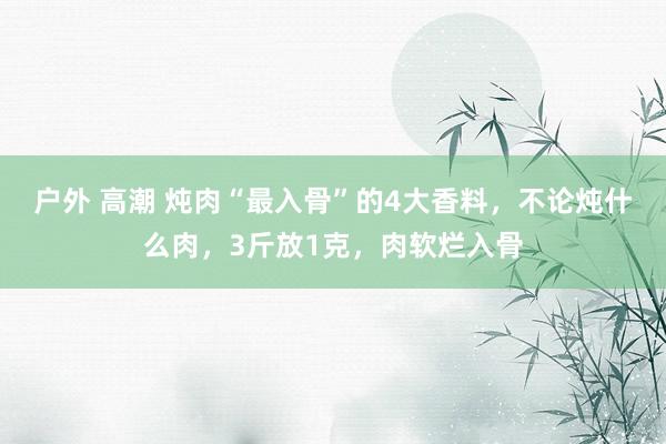 户外 高潮 炖肉“最入骨”的4大香料，不论炖什么肉，3斤放1克，肉软烂入骨