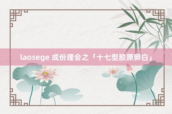 laosege 成份理会之「十七型胶原卵白」