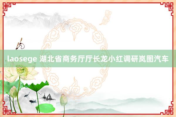 laosege 湖北省商务厅厅长龙小红调研岚图汽车