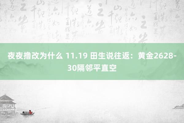 夜夜撸改为什么 11.19 田生说往返：黄金2628-30隔邻平直空