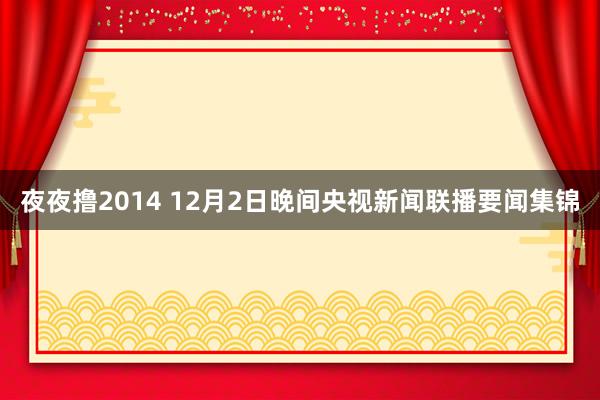 夜夜撸2014 12月2日晚间央视新闻联播要闻集锦