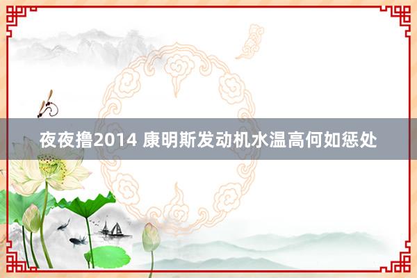 夜夜撸2014 康明斯发动机水温高何如惩处