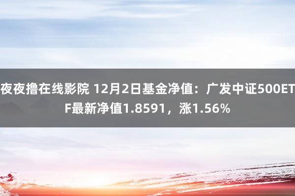 夜夜撸在线影院 12月2日基金净值：广发中证500ETF最新净值1.8591，涨1.56%