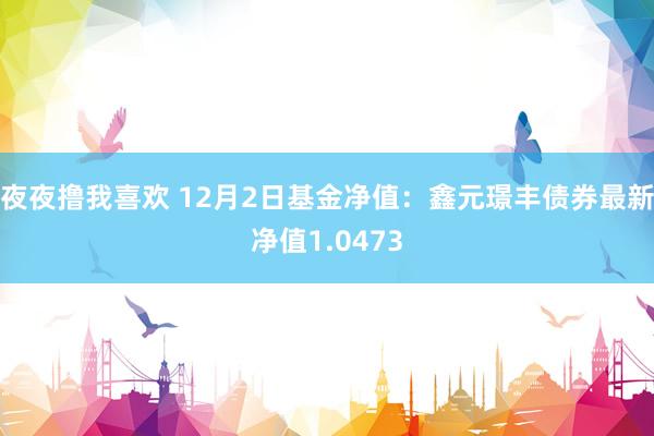 夜夜撸我喜欢 12月2日基金净值：鑫元璟丰债券最新净值1.0473