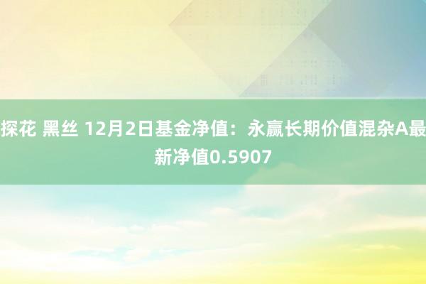 探花 黑丝 12月2日基金净值：永赢长期价值混杂A最新净值0.5907