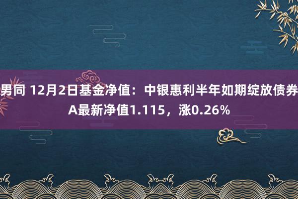 男同 12月2日基金净值：中银惠利半年如期绽放债券A最新净值1.115，涨0.26%