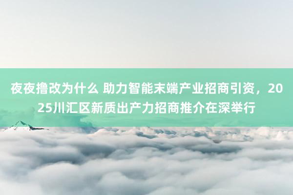 夜夜撸改为什么 助力智能末端产业招商引资，2025川汇区新质出产力招商推介在深举行