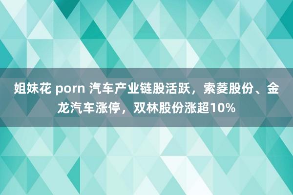 姐妹花 porn 汽车产业链股活跃，索菱股份、金龙汽车涨停，双林股份涨超10%