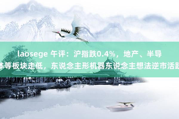 laosege 午评：沪指跌0.4%，地产、半导体等板块走低，东说念主形机器东说念主想法逆市活跃