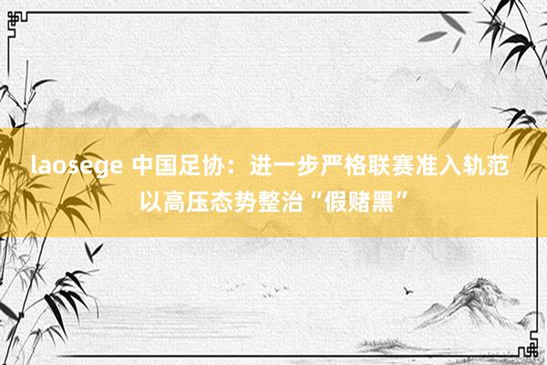 laosege 中国足协：进一步严格联赛准入轨范 以高压态势整治“假赌黑”