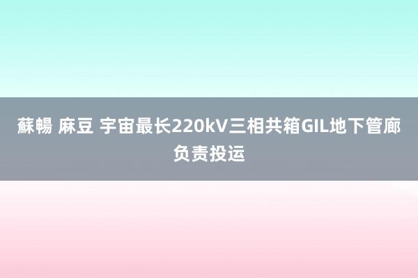 蘇暢 麻豆 宇宙最长220kV三相共箱GIL地下管廊负责投运