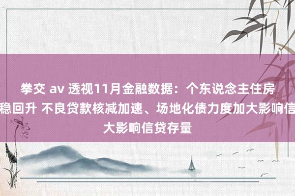 拳交 av 透视11月金融数据：个东说念主住房贷款企稳回升 不良贷款核减加速、场地化债力度加大影响信贷存量