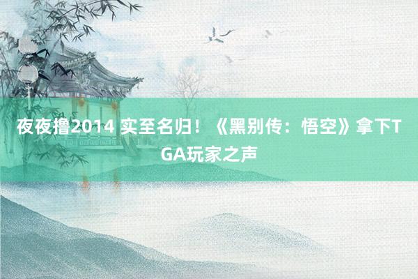 夜夜撸2014 实至名归！《黑别传：悟空》拿下TGA玩家之声