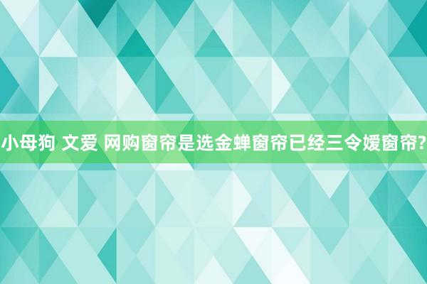 小母狗 文爱 网购窗帘是选金蝉窗帘已经三令嫒窗帘?