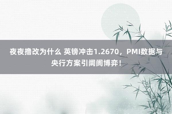 夜夜撸改为什么 英镑冲击1.2670，PMI数据与央行方案引阛阓博弈！