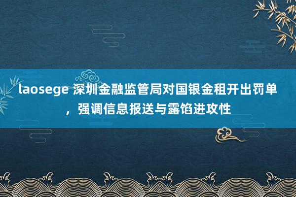 laosege 深圳金融监管局对国银金租开出罚单，强调信息报送与露馅进攻性