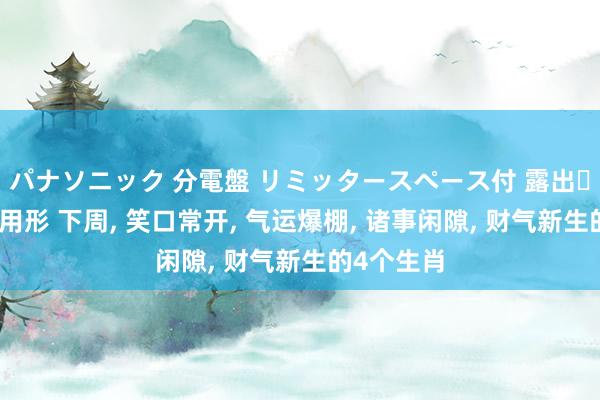 パナソニック 分電盤 リミッタースペース付 露出・半埋込両用形 下周， 笑口常开， 气运爆棚， 诸事闲隙， 财气新生的4个生肖