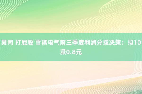 男同 打屁股 雪祺电气前三季度利润分拨决策：拟10派0.8元