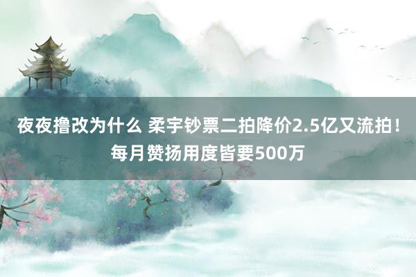 夜夜撸改为什么 柔宇钞票二拍降价2.5亿又流拍！每月赞扬用度皆要500万