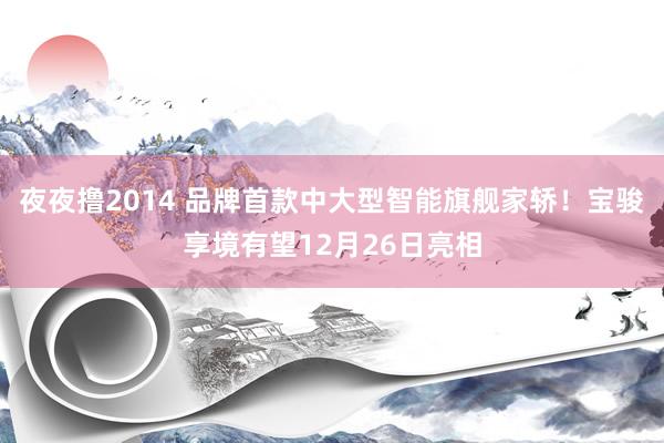 夜夜撸2014 品牌首款中大型智能旗舰家轿！宝骏享境有望12月26日亮相