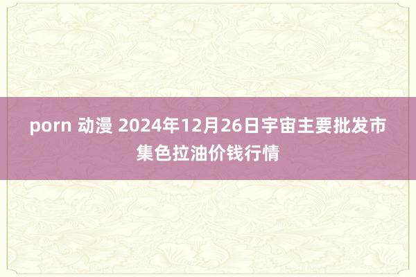 porn 动漫 2024年12月26日宇宙主要批发市集色拉油价钱行情